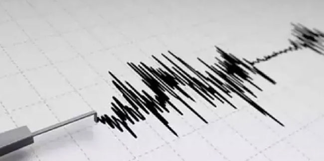 AFAD duyurdu: Van ve Muğla'da deprem!