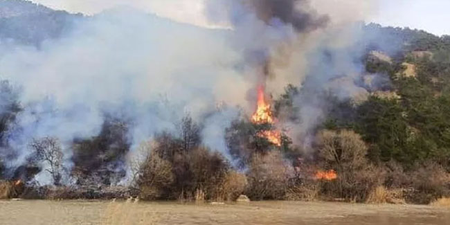 Çorum’da 2 orman yangını; 11 hektar alan zarar gördü