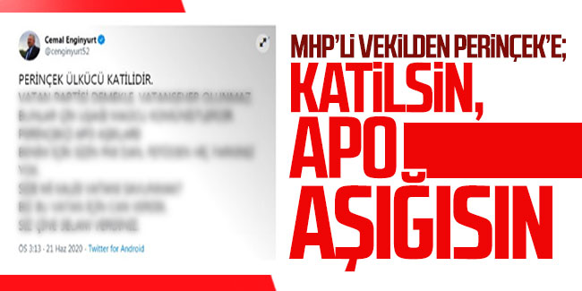 MHP'li vekilden Perinçek'e: Katilsin, APO aşığısın!