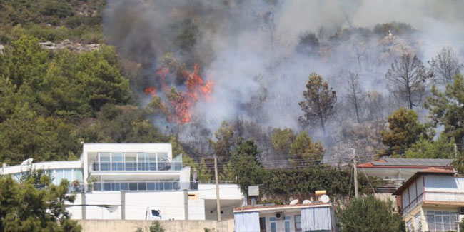 Alanya'da orman yangını! Havadan ve karadan müdahale ediliyor