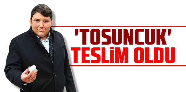 'Tosuncuk' lakaplı Mehmet Aydın teslim oldu!