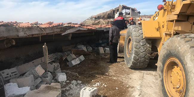 Konya'da çardağın çatısı çöktü, 29 küçükbaş hayvan telef oldu