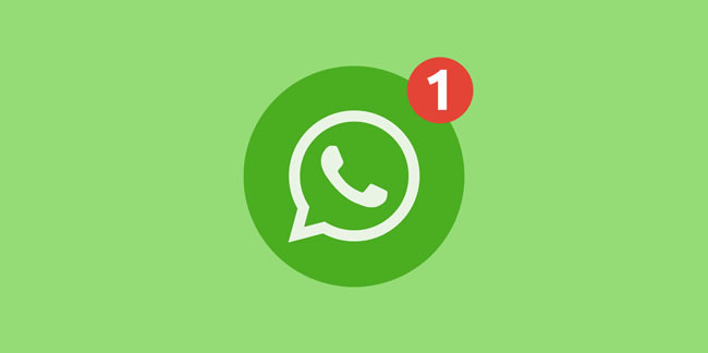 Tepkilere rağmen WhatsApp büyümeye devam ediyor