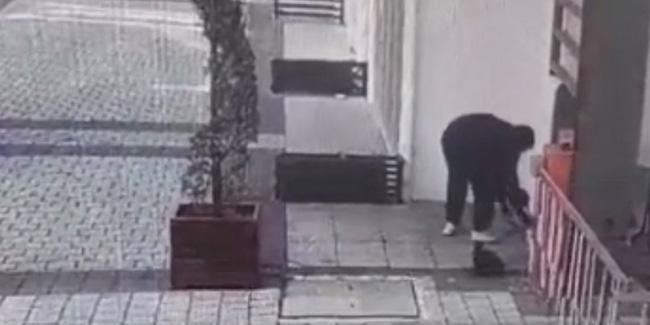 Bursa’da insanlık ölmüş dedirten görüntü: Kedi mamasının kutusunu çaldı