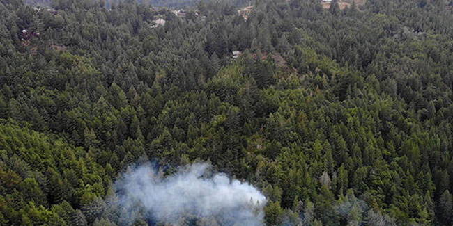 California'da yıldırım düşmesi sonucu orman yangını