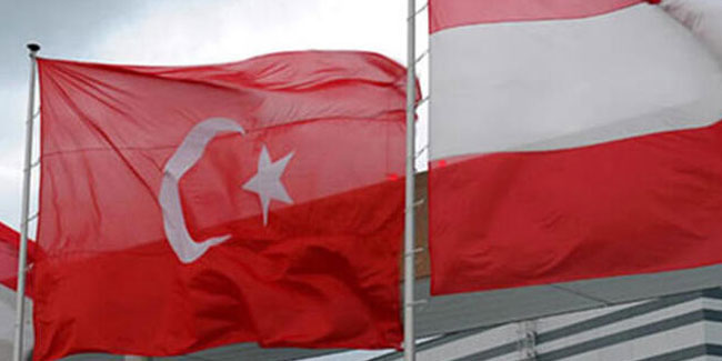Türkiye-Avusturya istişareleri online olarak başlıyor