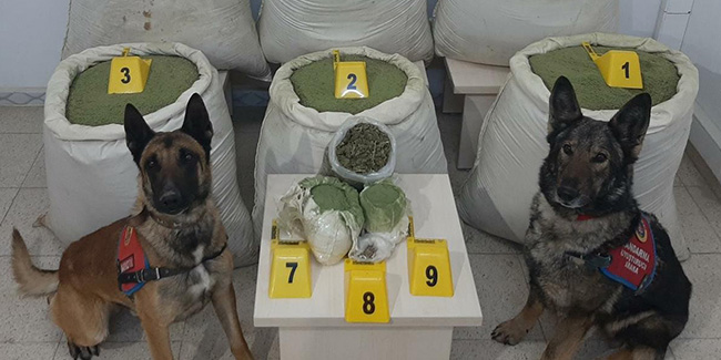 Bingöl’de 218 kilo uyuşturucu ele geçirildi