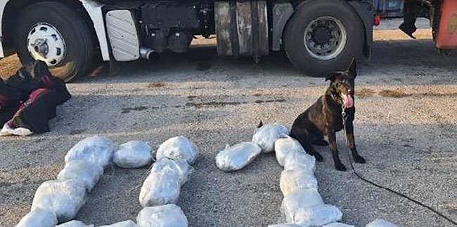 Durdurulan tırda narkotik köpeklerinin yardımıyla 8,5 kilogram uyuşturucu ele geçirildi