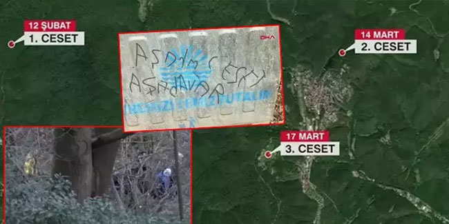 Belgrad Ormanı'nda sır cesetler! Çöp konteynerinde yazan not dikkat çekti
