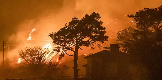 California'da korkutan orman yangını! Tahliye kararı verildi
