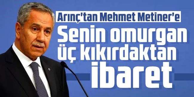 Arınç'tan Mehmet Metiner'e: Senin omurgan üç kıkırdaktan ibaret