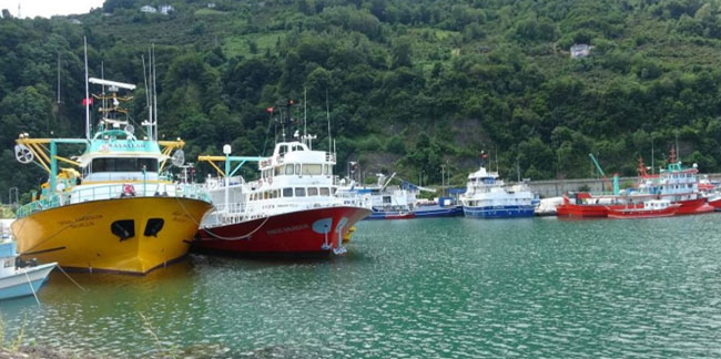 Trabzon'da balık avı yasağı ne zaman sona eriyor? İşte o tarih