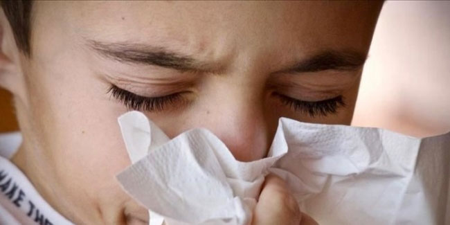 Grip salgınından ölenlerin sayısı 110'a yükseldi