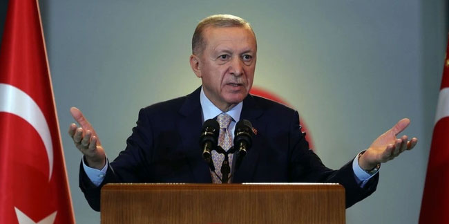 Cumhurbaşkanlığı raporu Erdoğan'ı desteklemedi