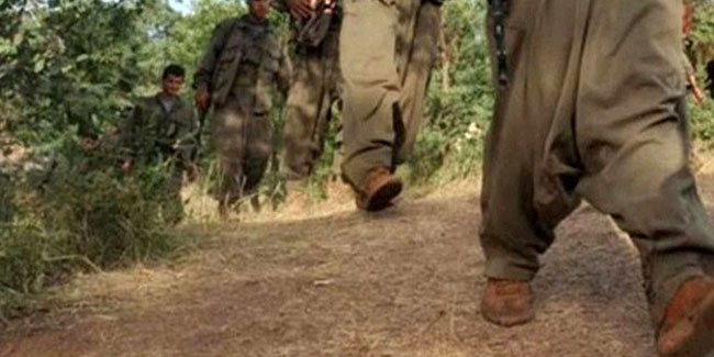 PKK'dan kaçışlar sürüyor! 5 terörist daha teslim oldu