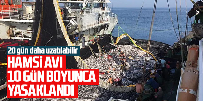 Karadeniz'de hamsi avı 10 gün boyunca yasaklandı
