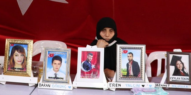 Gökkuş: Oğlumu HDP kaçırdı, PKK'ya verdi