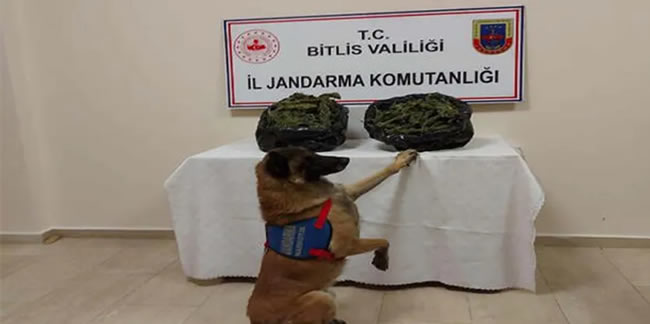 Bitlis’te uyuşturucu operasyonu: 4 gözaltı