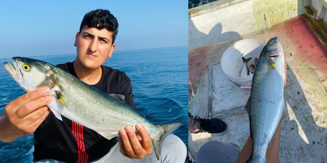 Amatör balıkçının oltasına 1 kiloluk kofana balığı takıldı