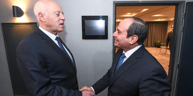 Akdeniz'de kritik temas: Said, Sisi'nin desteğini aldı