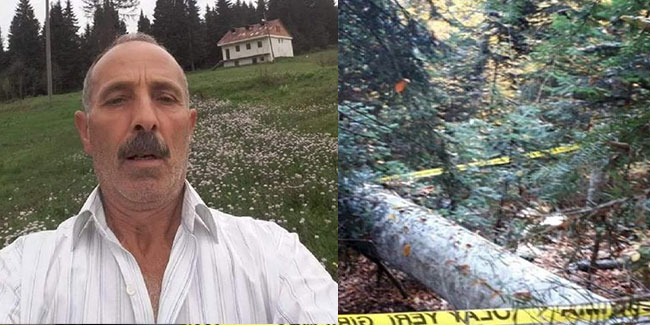 Trabzon'da kestiği ağacın altında kaldı, yaşamını yitirdi