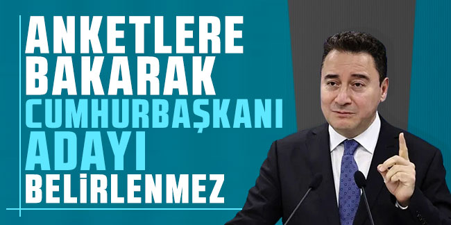 Ali Babacan: Anketlere bakarak Cumhurbaşkanı adayı belirlenmez