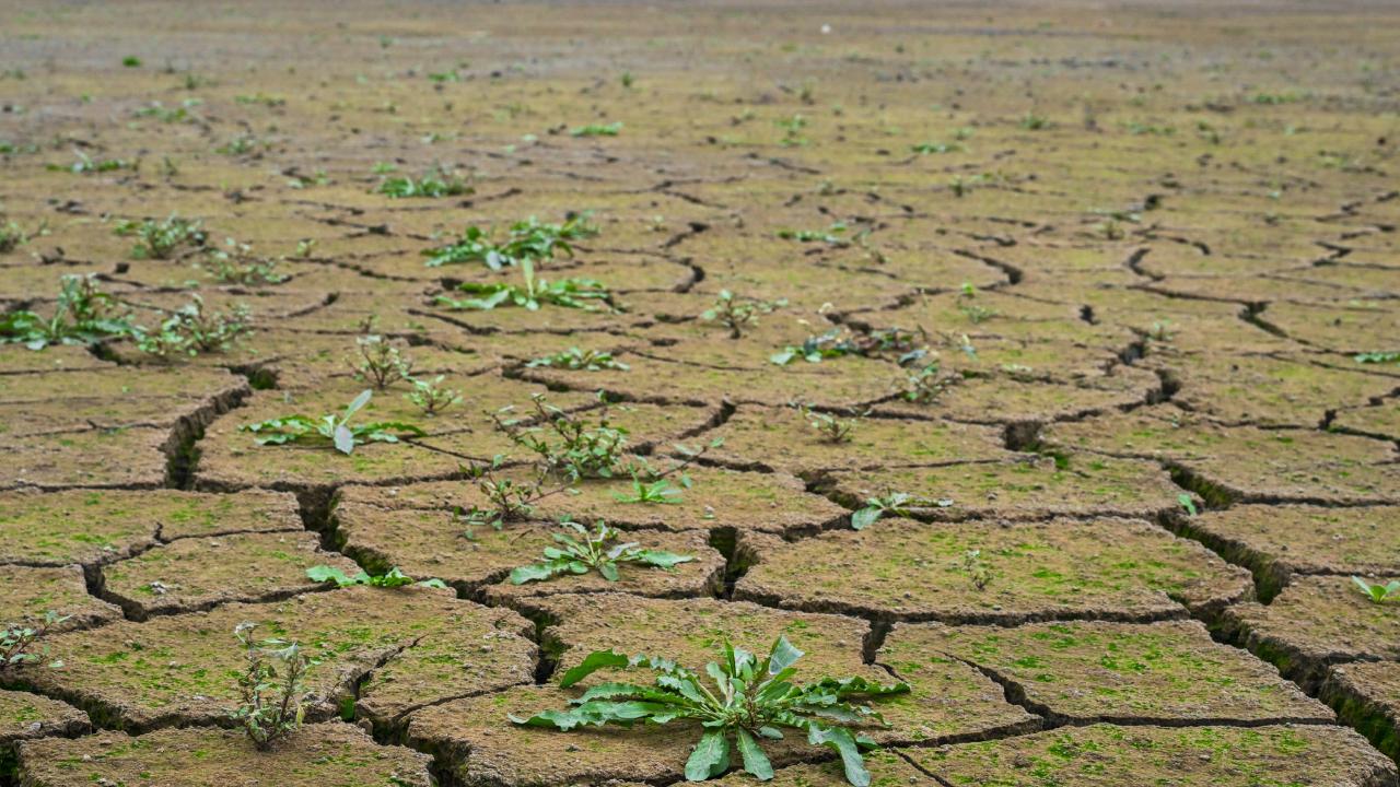 İklim değişikliği kuraklığa neden olabilir
