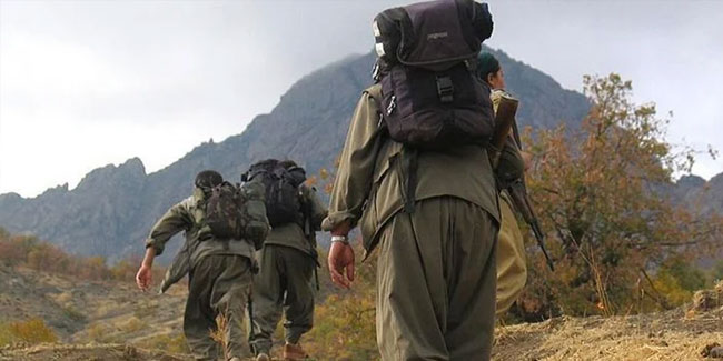 Teslim olan PKK'lı ifade verdi: Örgüte katılım yok denecek kadar az