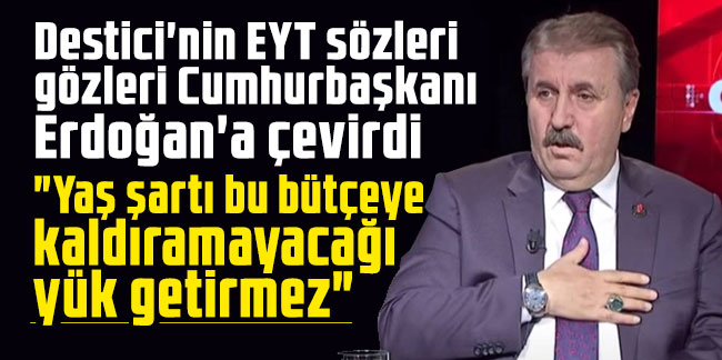 Destici'nin EYT sözleri gözleri Cumhurbaşkanı Erdoğan'a çevirdi: "Yaş şartı bu bütçeye kaldıramayacağı yük getirmez"