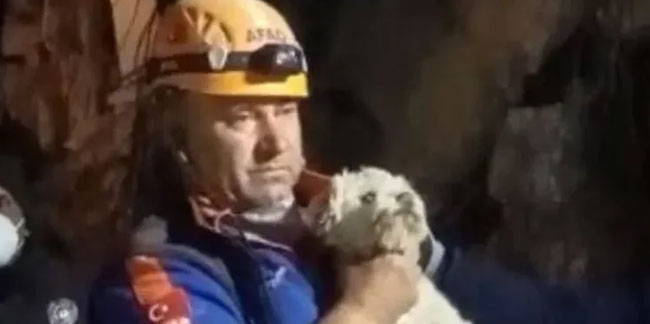 Hatay'da depremin 25. gününde enkazdan bir köpek canlı çıkartıldı