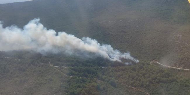 İzmir’de orman yangınına müdahale sürüyor