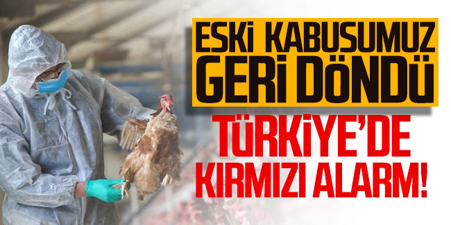 Türkiye'de şimdi de kuş gribi alarmı!