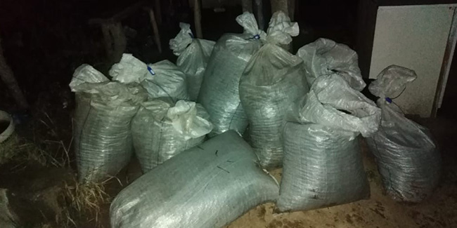 Ukrayna-Romanya sınırında 270 kilo değerli taş ele geçirildi