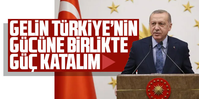 Erdoğan: Gelin Türkiye'nin gücüne birlikte güç katalım