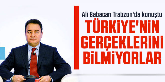 Ali Babacan "Türkiye'nin gerçeklerini bilmiyorlar"