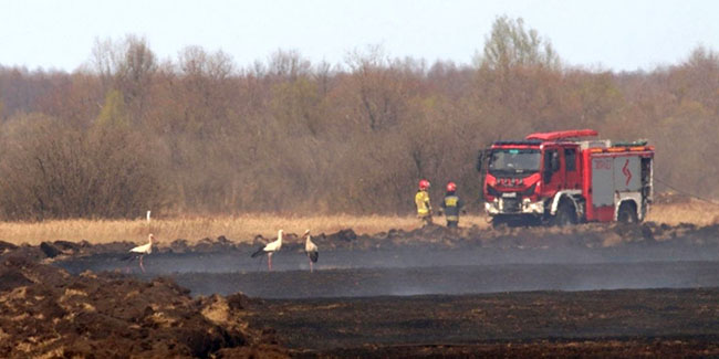 Polonya’daki milli park yangını kontrol altına alındı