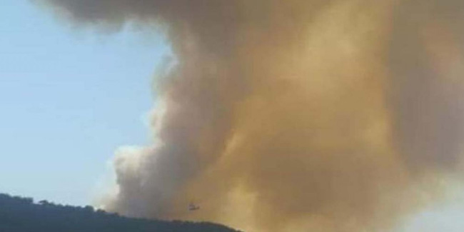 Adana’da bir orman yangını daha çıktı