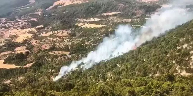 Bolu'da orman yangını! Alevlere müdahale ediliyor