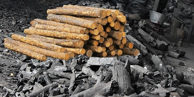 Bu kış çetin geçecek! Odun ve kömür fiyatları iki ayda rekor kırdı!