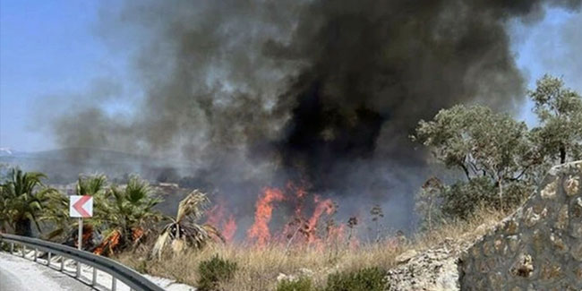 Milas-Bodrum Havalimanı kavşağında çıkan yangın kontrol altına alındı