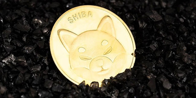 Shiba coin ne kadar oldu? Shiba coin kaç dolar?