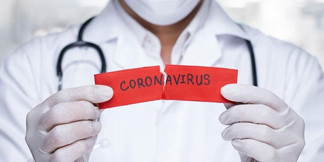 Bilim insanları 6 yeni koronavirüs tespit etti!
