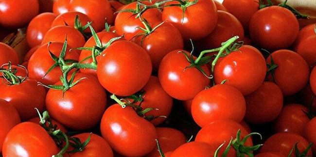 Bakanlıktan "domates" açıklaması: Kısıtlama değil kayıt altına alma