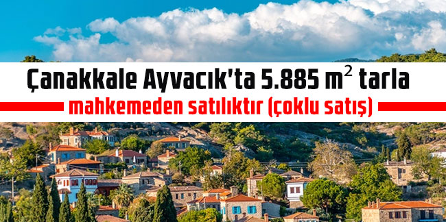 Çanakkale Ayvacık'ta 5.885 m² tarla mahkemeden satılıktır (çoklu satış)