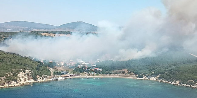 İzmir'de orman yangını başladı! Ekipler seferber oldu