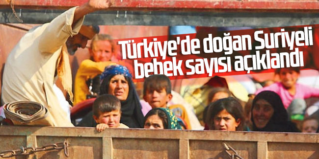 Türkiye'de doğan Suriyeli bebek sayısı açıklandı