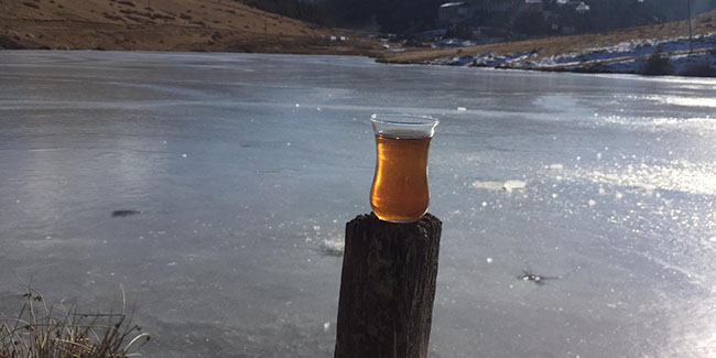 Ordu’da gölet buz tuttu