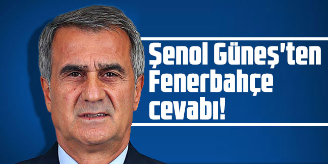 Şenol Güneş'ten Fenerbahçe cevabı!