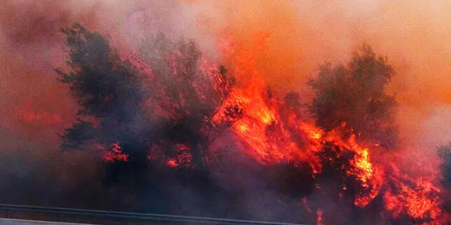 İspanya-Fransa sınırında orman yangını