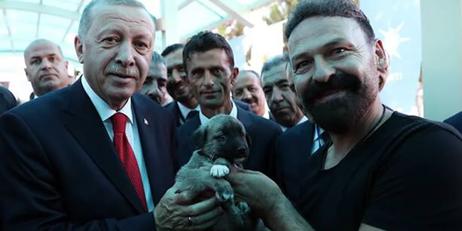 Cumhurbaşkanı Erdoğan'a Kangal köpeği hediye edildi